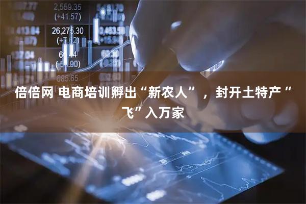 倍倍网 电商培训孵出“新农人” ，封开土特产“飞”入万家